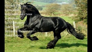 Песню"Ой, ты конь мой вороной" на стихи Анатолия Золотовского поет Олег Ветошев.Видео от Ника Сярга