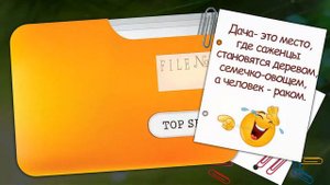 Лилейник Spc.EXTREME  FASHION