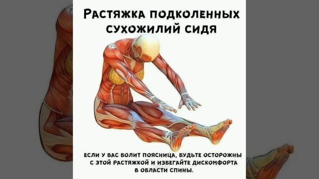 РАСТЯЖКА МЫШЦ