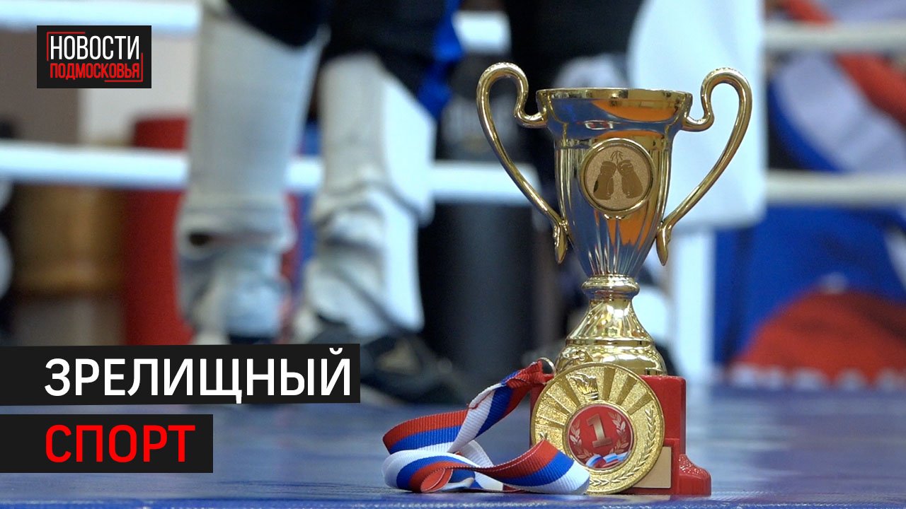 Чемпионат и первенство по савату прошли в Одинцове // Новости 360 Одинцово
