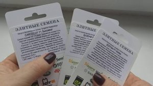 Сорта и гибриды капусты для хранения