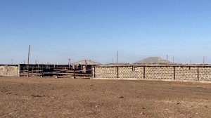 КАЗАХСТАН. КАК СЕЙЧАС ЖИВЁТСЯ В АУЛЕ? #kazakhstan #semey