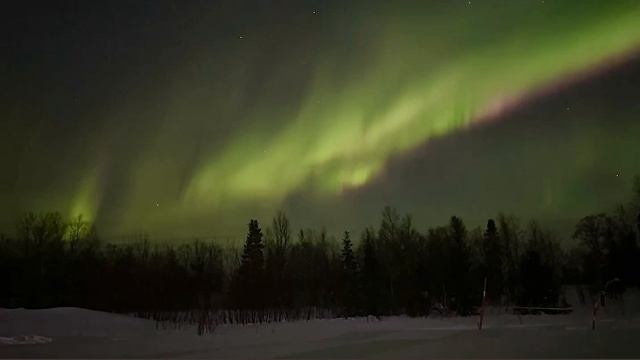 Видео северное