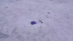 ЛОВЛЯ ФОРЕЛИ СО ЛЬДА!МЕГА РЫБАЛКА В РЫБАЦКОМ КОРДОНЕ!.mp4