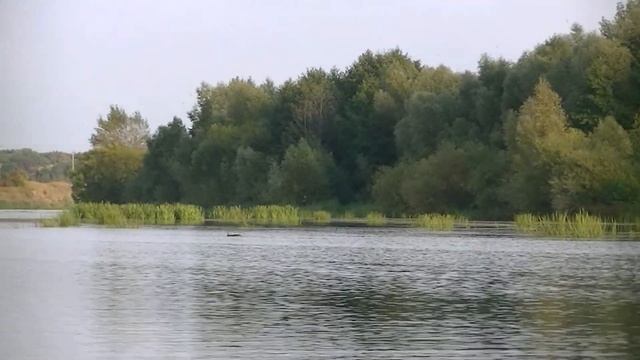 Сплав по реке за хищником | Ловля раков на ХРЕН.