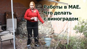 Какие операции необходимо сделать в мае. Урожай будет большой!
