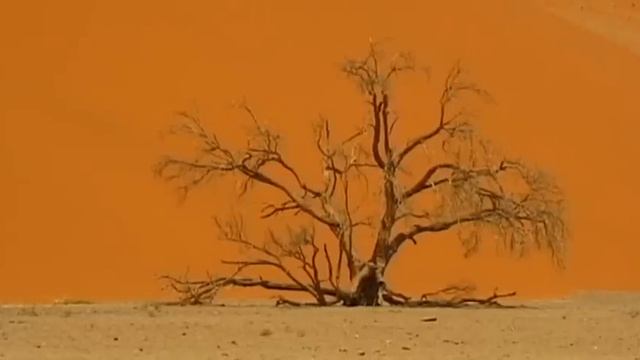 Southern Africa (South-Africa/Namibia/Botswana) Vacation Travel Video Guide смотреть онлайн