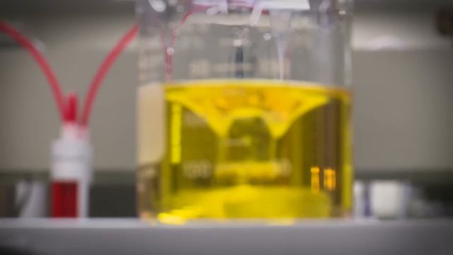 Oil Matters: Why XPS 4-stroke Oil is Best for Your BRP Vehicle смотреть онлайн