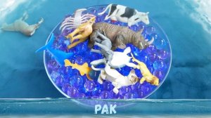 узнать животных выучить названия зверей и морских животных