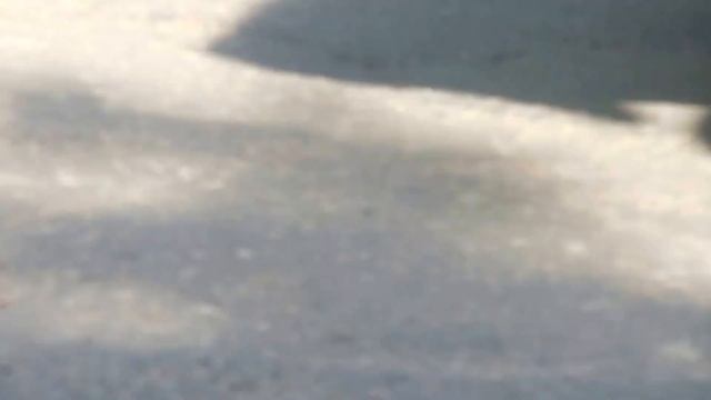 DSCN22911 смотреть онлайн