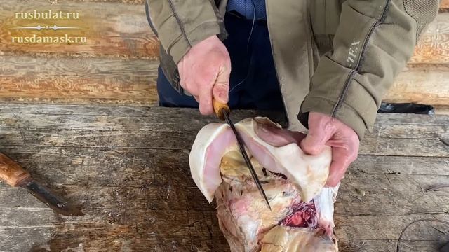 Разделка осетрины якутскими ножами. Тестируйте ножи только на Белуге! Сталь У8 против стали 9ХС