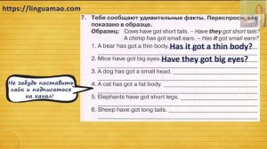 Spotlight 3 класс Сборник упражнений страница 65 номер 7 ГДЗ решебник