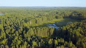 д. Векошинка, Чайковский район, Пермский край. Аэросъемка