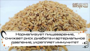 Спельта зерно. Обзор