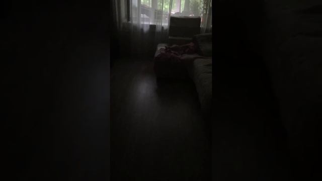 Вселяю демона в игрушку!ПОЛУЧИЛОСЬ!!!!!!!!!! смотреть онлайн