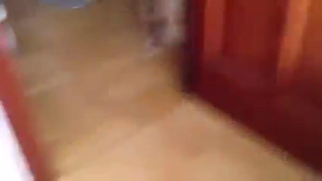 Как приготовить какао смотреть онлайн