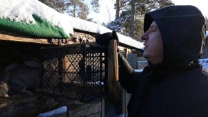 КОРМУШКИ ДЛЯ КРОЛИКОВ ДЛЯ СЕНА СВОИМИ РУКАМИ. СЕННИК ДЛЯ КРОЛИКОВ.