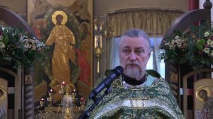 Проповедь на Литургии 24 06 2021 свящ. Петр Коломейцев