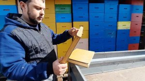 Теплая заставная доска, для быстрого весеннего развития.