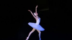 Светлана Захарова "Лебедь" Сен Санс (Svetlana Zakharova,Dying Swan) 10.04.2014