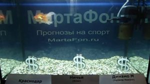 Золотая рыбка МартаФон. Прогноз на футбол 29 мая