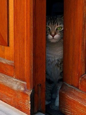 ?Красивое Пожелание Доброго Вечера! Открытки с Добрым Вечером