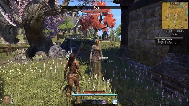 Plague of Phaer #16 - Aldmeri Dominion Quests ~ Elder Scrolls Online смотреть онлайн