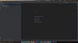 Guide to open IntelliJ projects in tabs on macOS Big Sur