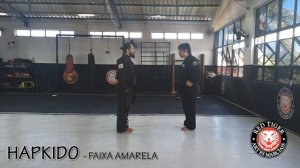 HAPKIDO - FAIXA AMARELA - Ms. Daniel Ravazzani