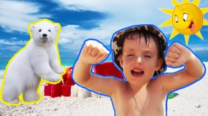 Белого медведя нашли на пляже и много других зверей