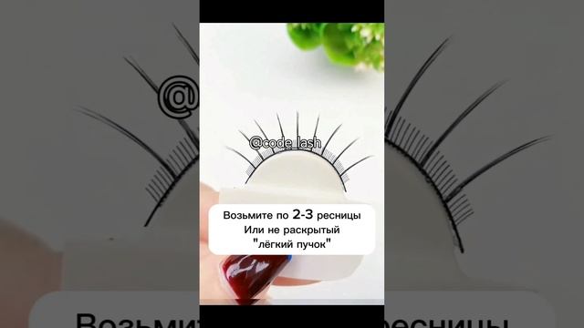 Новые эффекты в наращивании ресниц. Секреты лэшмейкеров. Готовые пучки. Умные ресницы CODELASH