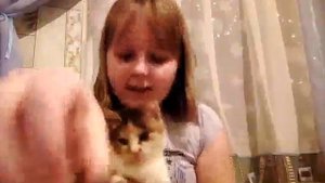 надевам коту ошейник