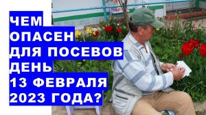 Чем опасен для посевов семян и посадки растений день 13 февраля 2023 года?