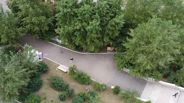 Парк Дома офицеров (ОДОРА). Чита 2020