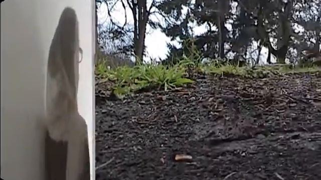 Caged (Story of a Bacha Posh) смотреть онлайн