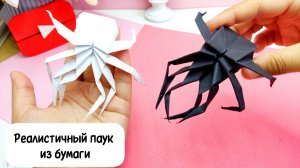 Паук из бумаги / Как сделать паука из бумаги / Реалистичный паук из бумаги