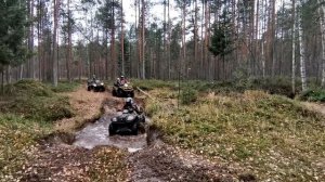 Тверь. Оршанский мох. Квадропутешествие2020