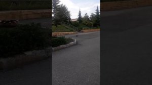 Учимся пинать на весом