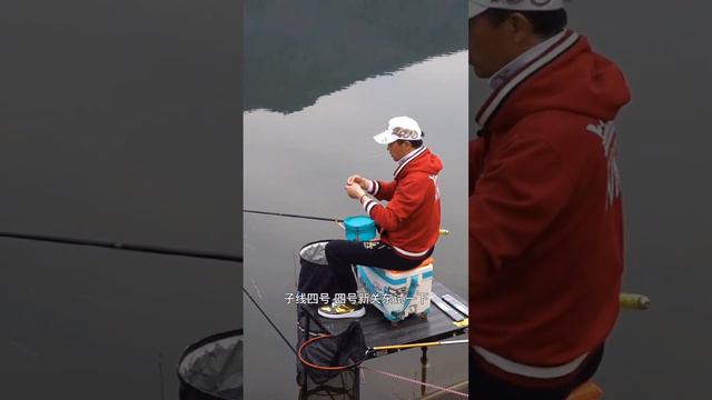 【鄧剛釣魚】堵城內河探釣巨鰱，3小時狂釣6条猛貨，1條竟重20斤