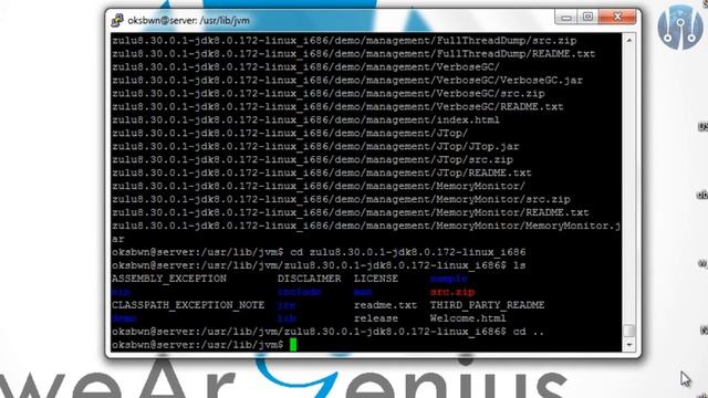 Zulu JDK Installation on Ubuntu 16.04 Server смотреть онлайн