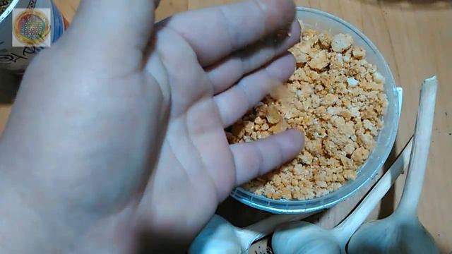 4 способа сохранить чеснок смотреть онлайн