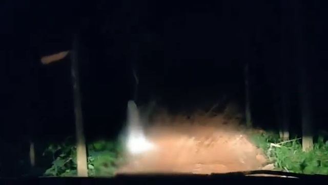 Rat me смотреть онлайн