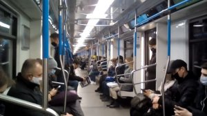 Сокольническая линия метро. Москва 2019. Бульвар Рокоссовского - Коммунарка.