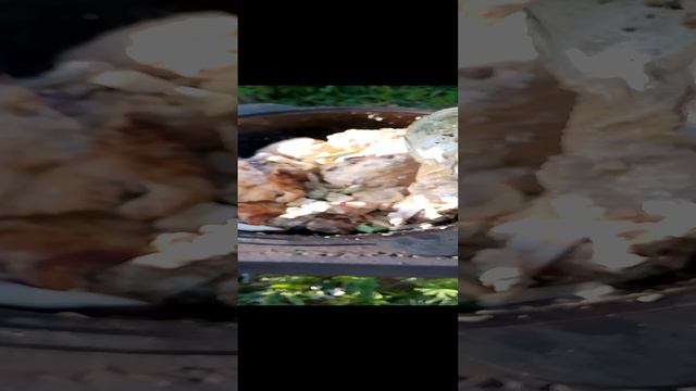 Курица с овощами #еда #рецепты #курица