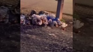 SOS. Республика Адыгея Тахтамукайский район пгт. Яблоновский