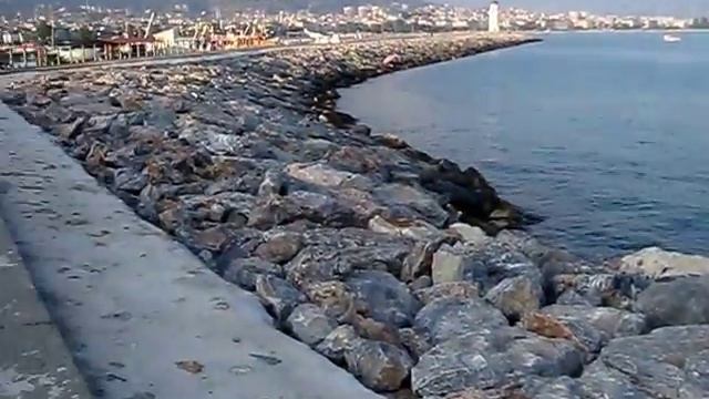Профессия путешественника