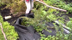 БОРЬБА с сорняками:  Черный спанбонд / Weeds Control: black SPUNBOND