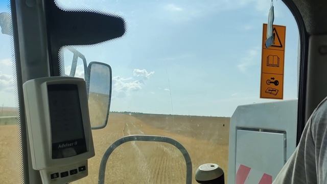 Уборка 2020. Новые гребёнки. Настройка очесывающей жатки Озон. смотреть онлайн