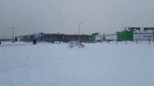 Volkswagen Golf Syncro