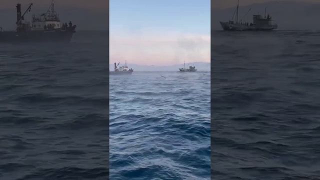 Морские прогулки и рыбалка в Териберке смотреть онлайн